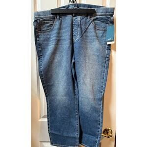 JAG Valentina Plus Size Size 20W Blue Skinny Straight Jeans NEW with Tags